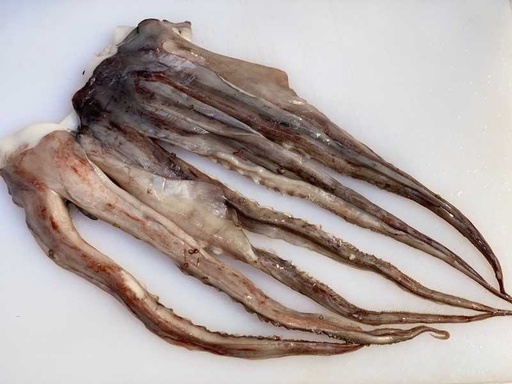 Tentáculos de Pulpo